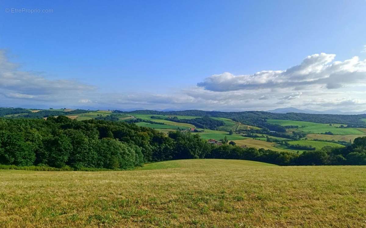 Terrain à BIDACHE