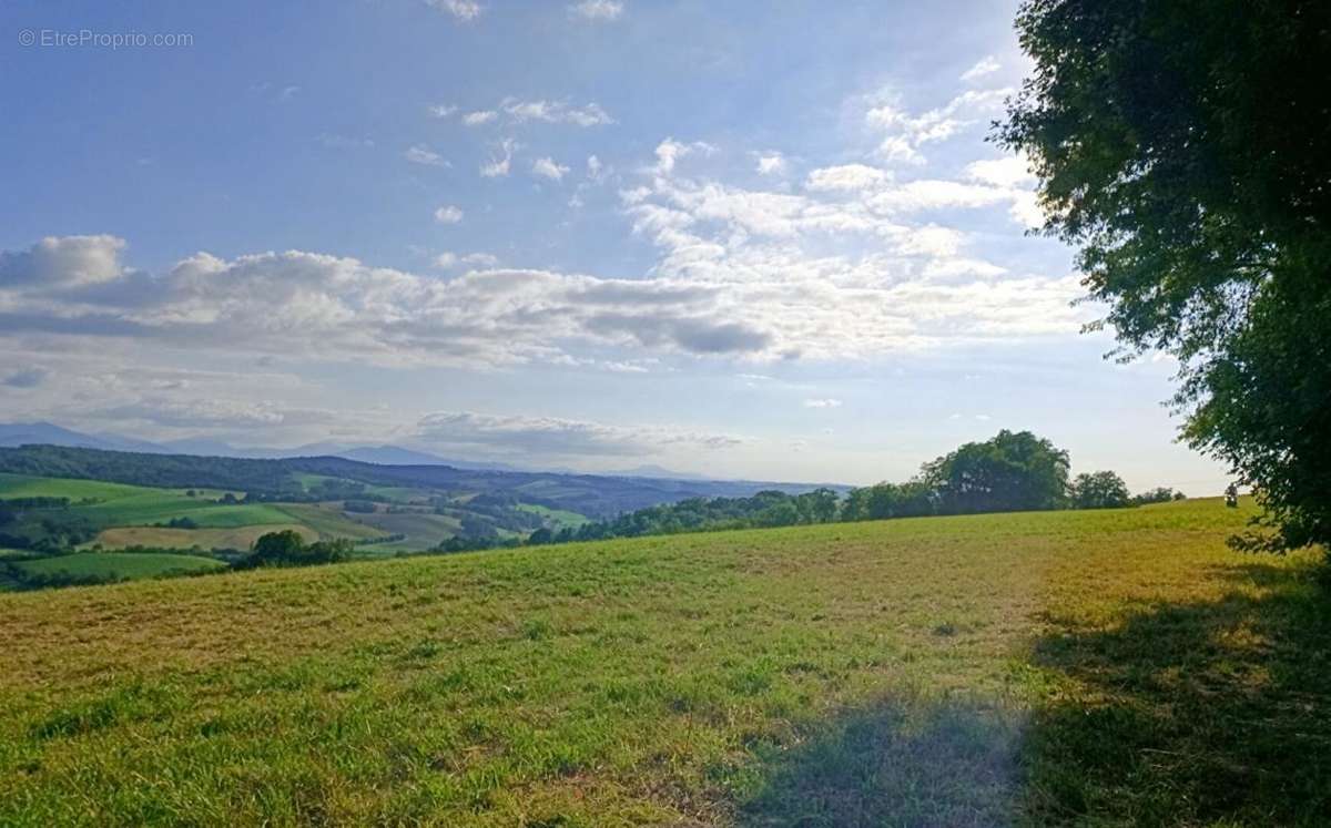 Terrain à BIDACHE