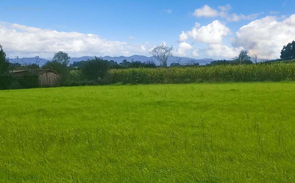 Terrain à BIDACHE