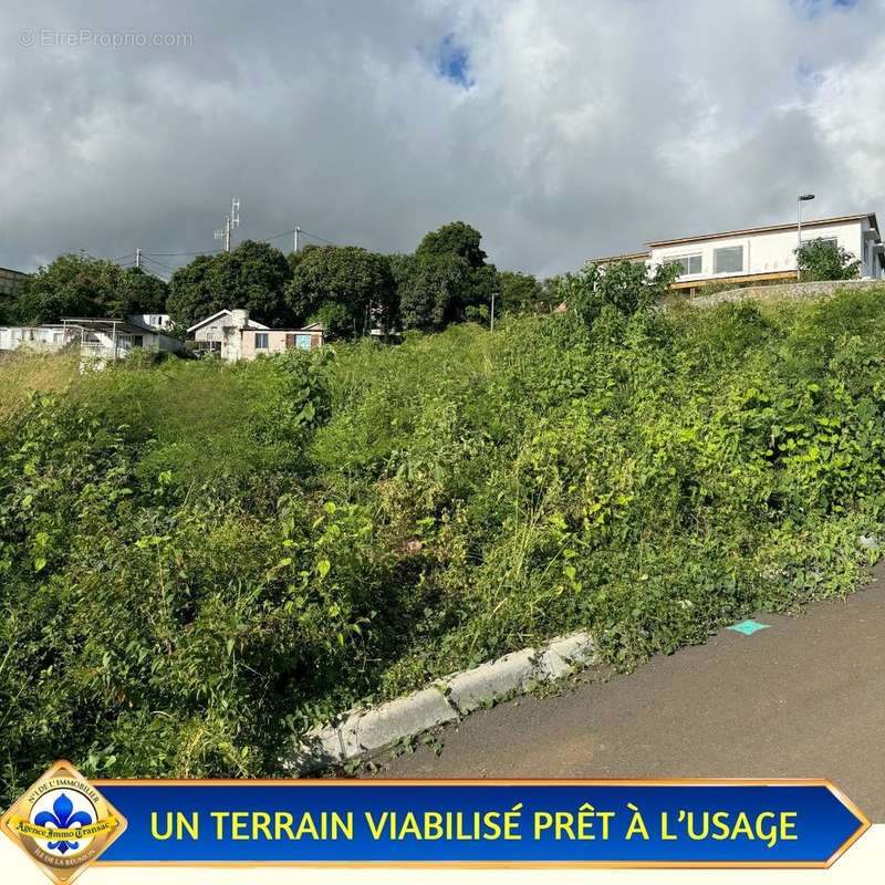 Terrain à LE PORT