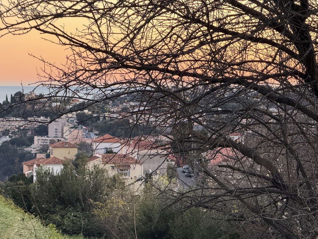 Terrain à NICE