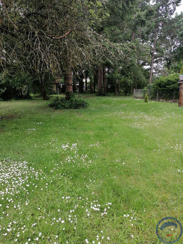 Terrain à AMBOISE