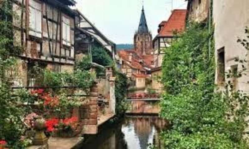 Commerce à STRASBOURG