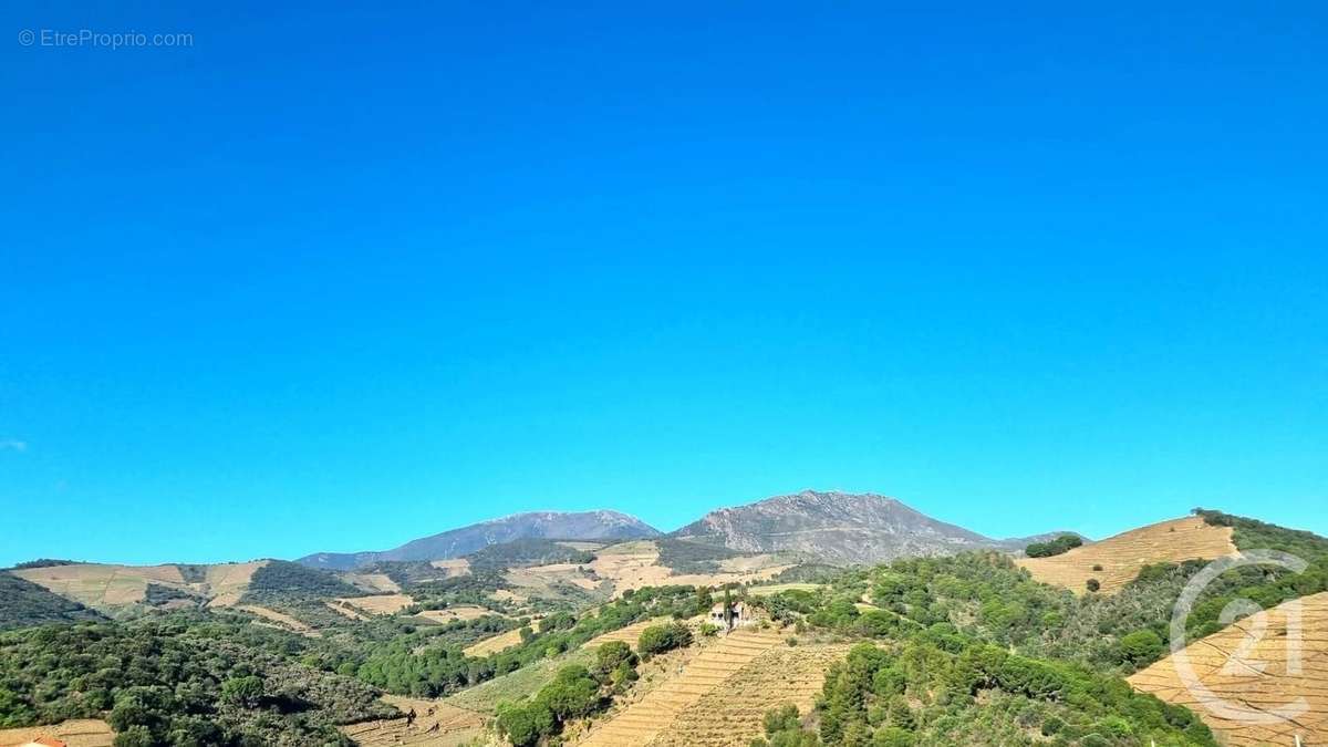 Appartement à BANYULS-SUR-MER