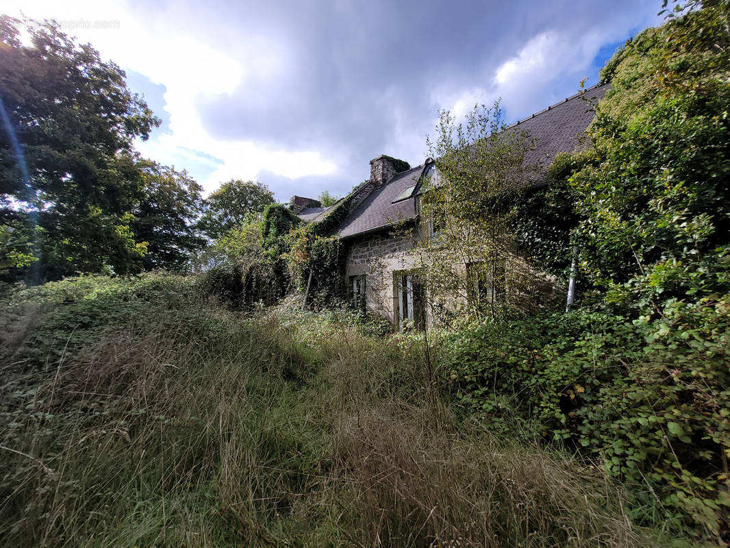 Maison à PLAINTEL