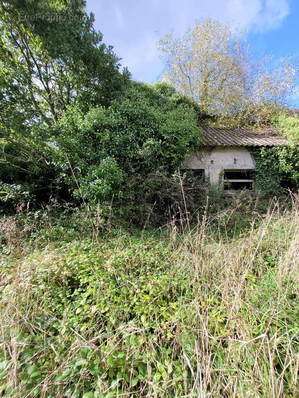 Maison à PLAINTEL