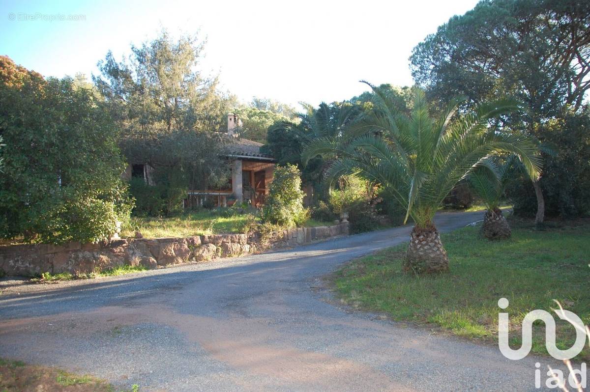 Photo 1 - Maison à ROQUEBRUNE-SUR-ARGENS