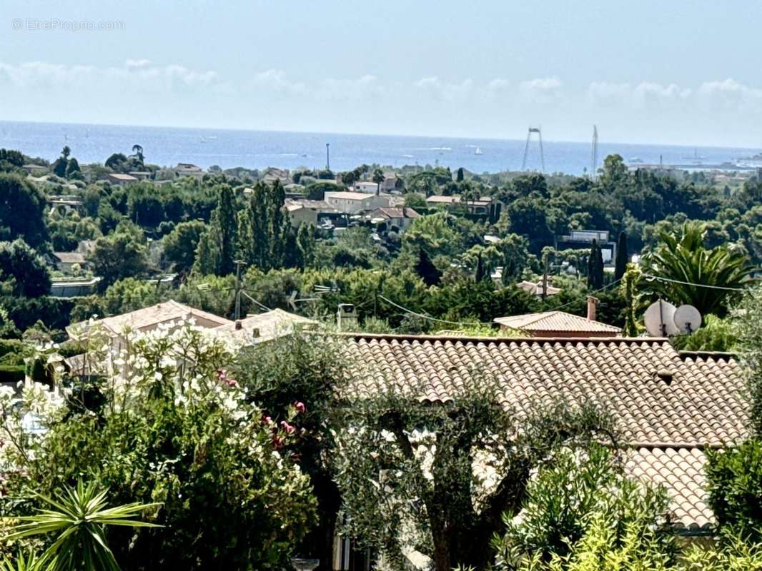 Maison à VILLENEUVE-LOUBET