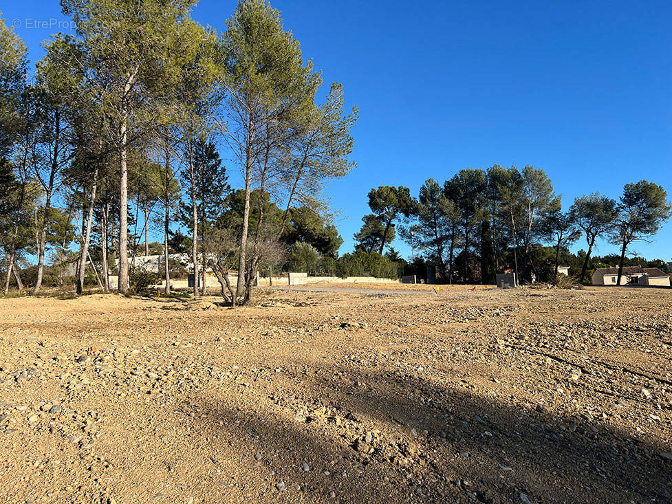 Terrain à SAINT-CLEMENT-DE-RIVIERE