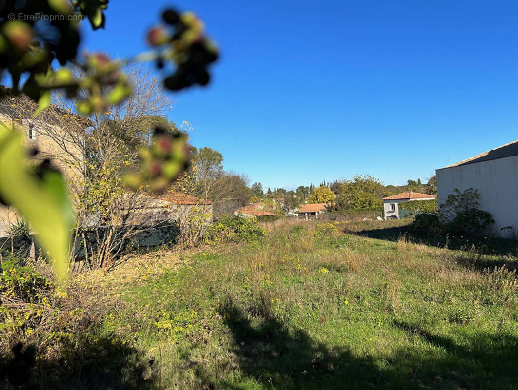 Terrain à MONTFERRIER-SUR-LEZ