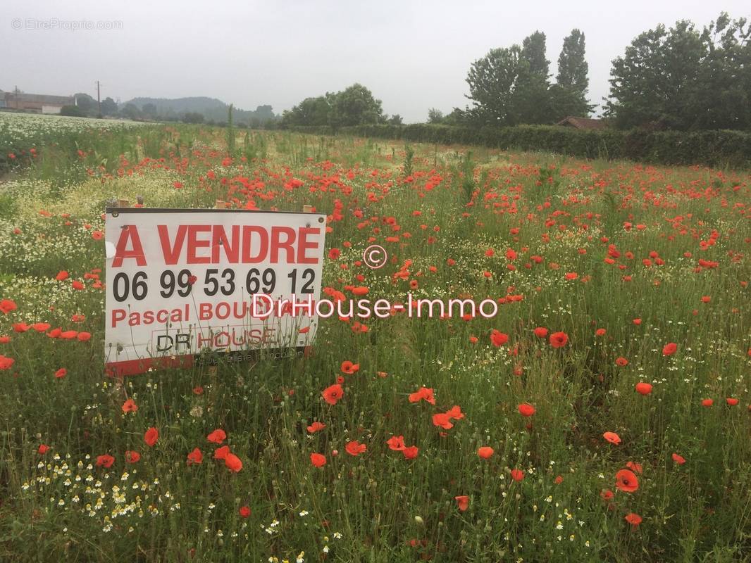 Terrain à CONDE-SUR-L&#039;ESCAUT