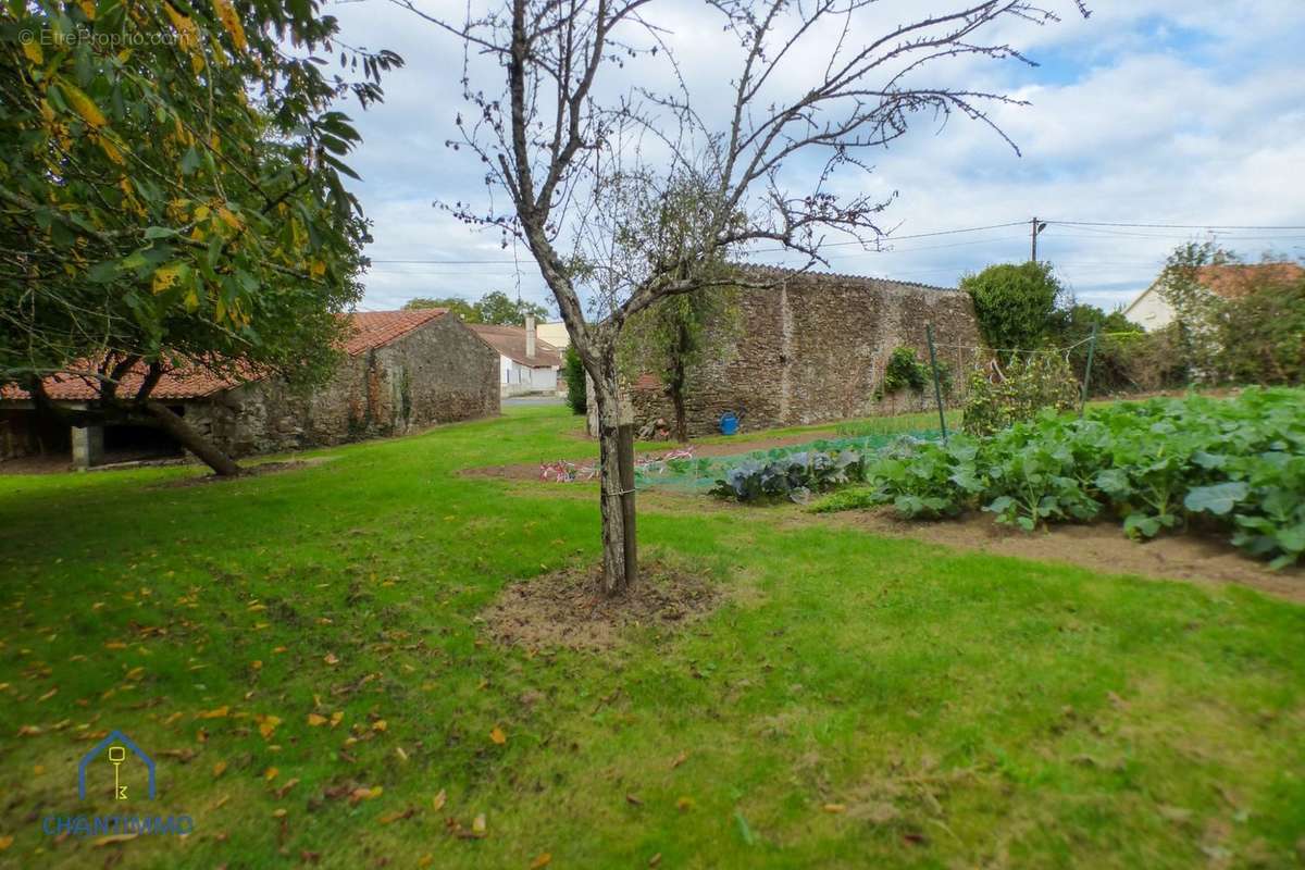 Maison à CHANTONNAY