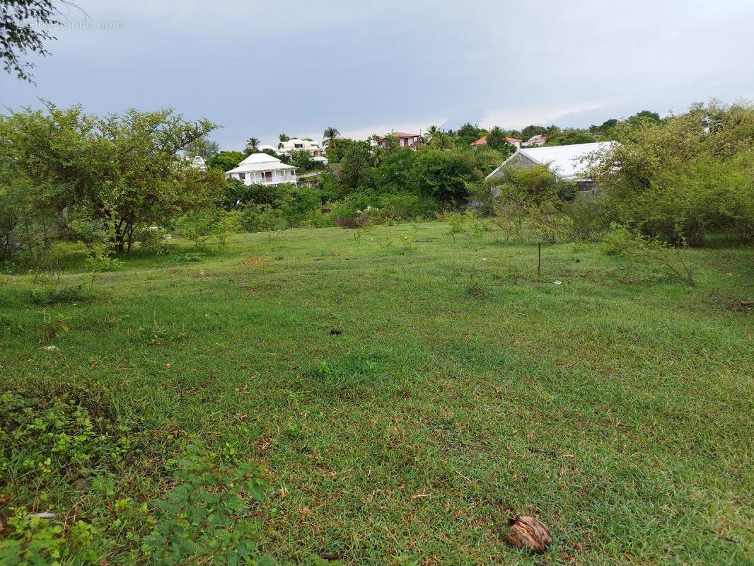 Terrain à SAINTE-ANNE