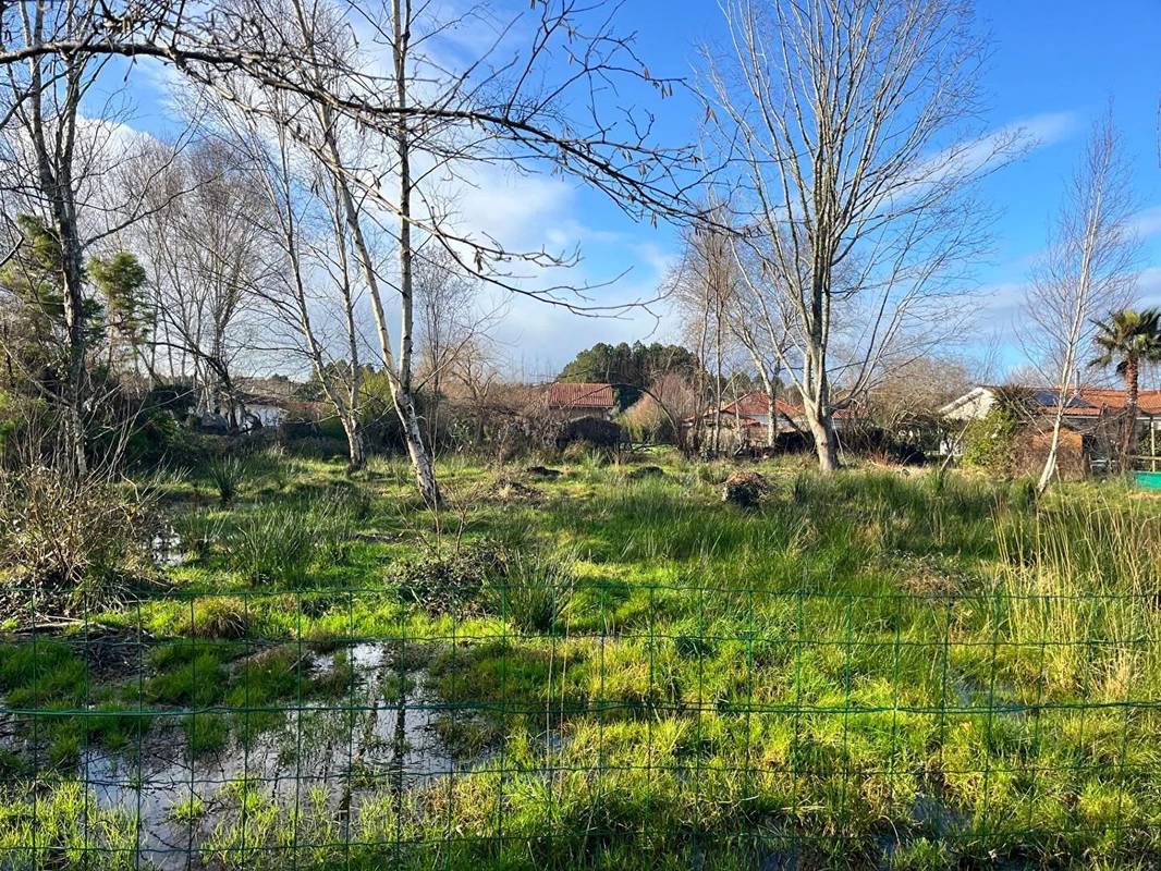 Terrain à BISCARROSSE