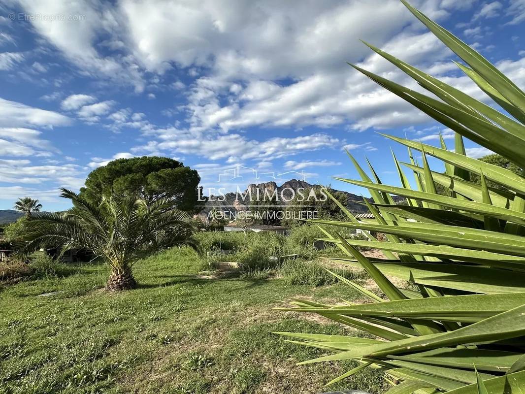 Terrain à ROQUEBRUNE-SUR-ARGENS