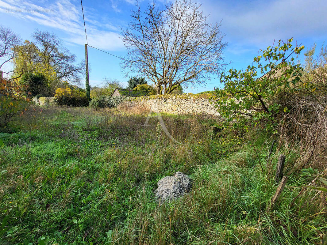 Terrain à BEAULIEU-SUR-LAYON