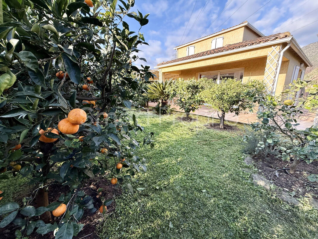 Maison à BORMES-LES-MIMOSAS