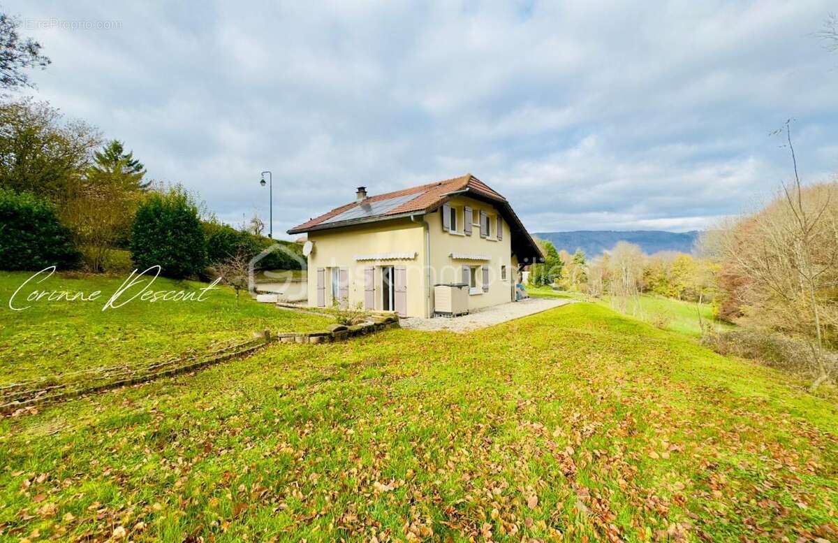 Maison à MENTHONNEX-EN-BORNES