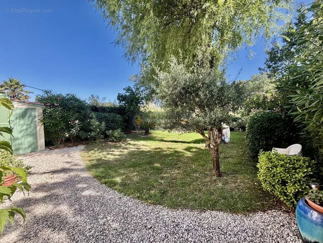 Maison à ROQUEBRUNE-SUR-ARGENS