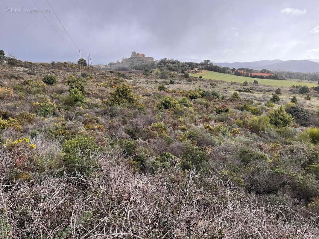   - Terrain à MONTALBA-LE-CHATEAU