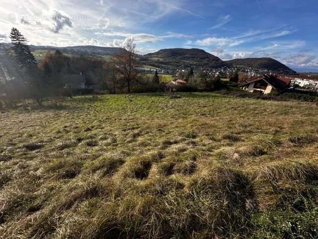 Terrain à VILLY-LE-PELLOUX