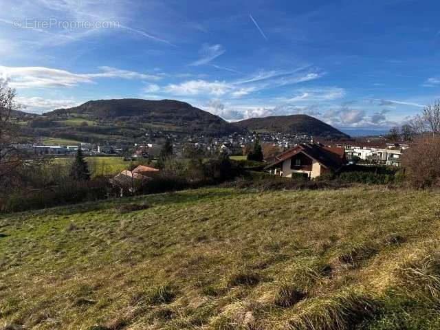 Terrain à VILLY-LE-PELLOUX