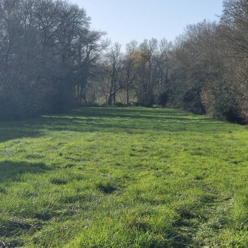 Terrain à SAINT-GEORGES-DU-BOIS