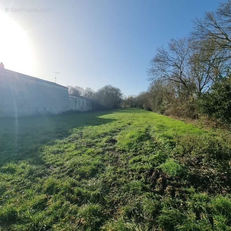 Terrain à SAINT-GEORGES-DU-BOIS