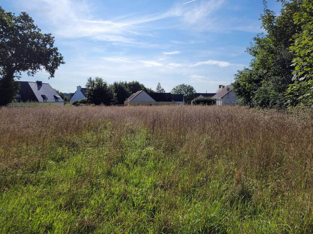 Terrain à LE DRENNEC