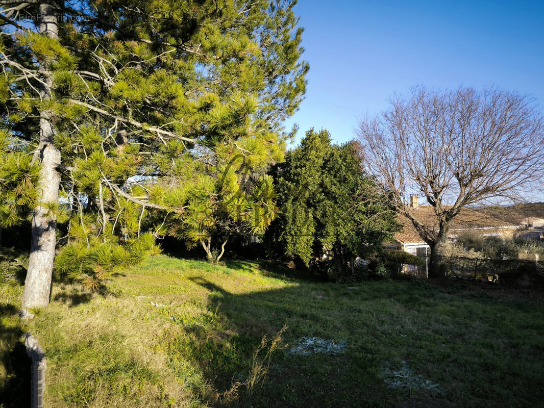 Terrain à SANILHAC-SAGRIES