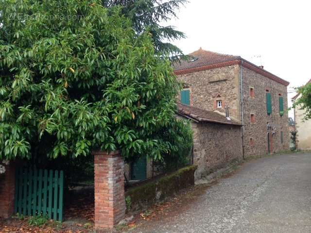 Maison à CORDES-SUR-CIEL