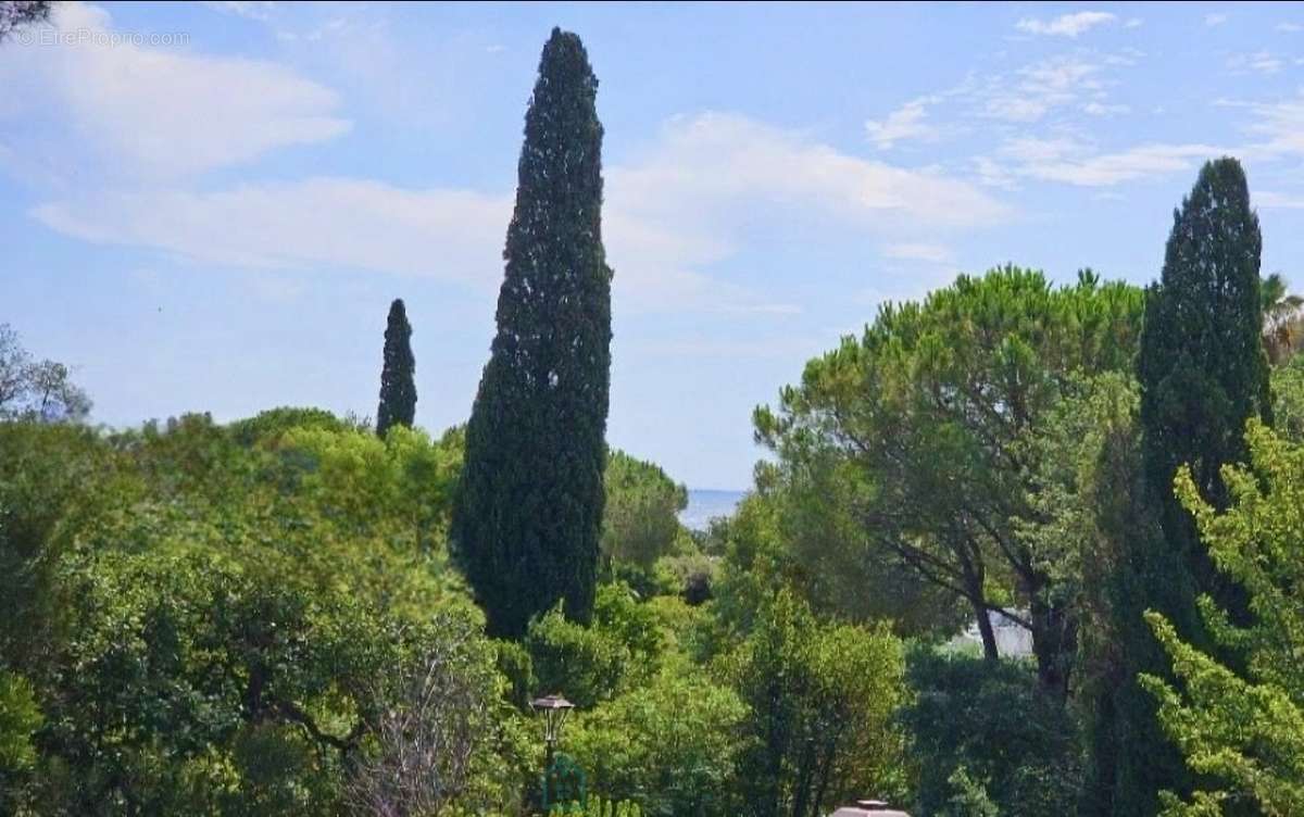 Maison à GRIMAUD