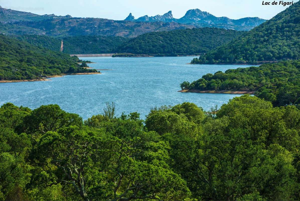 Terrain à FIGARI