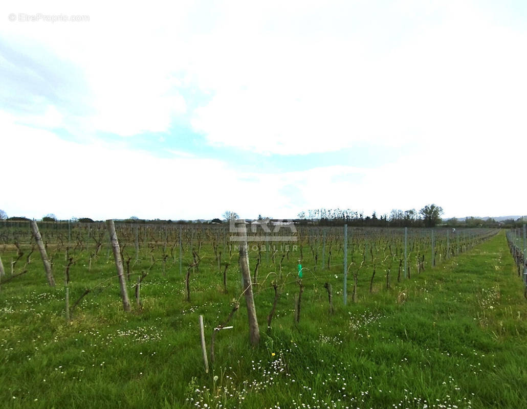 Terrain à VELINES