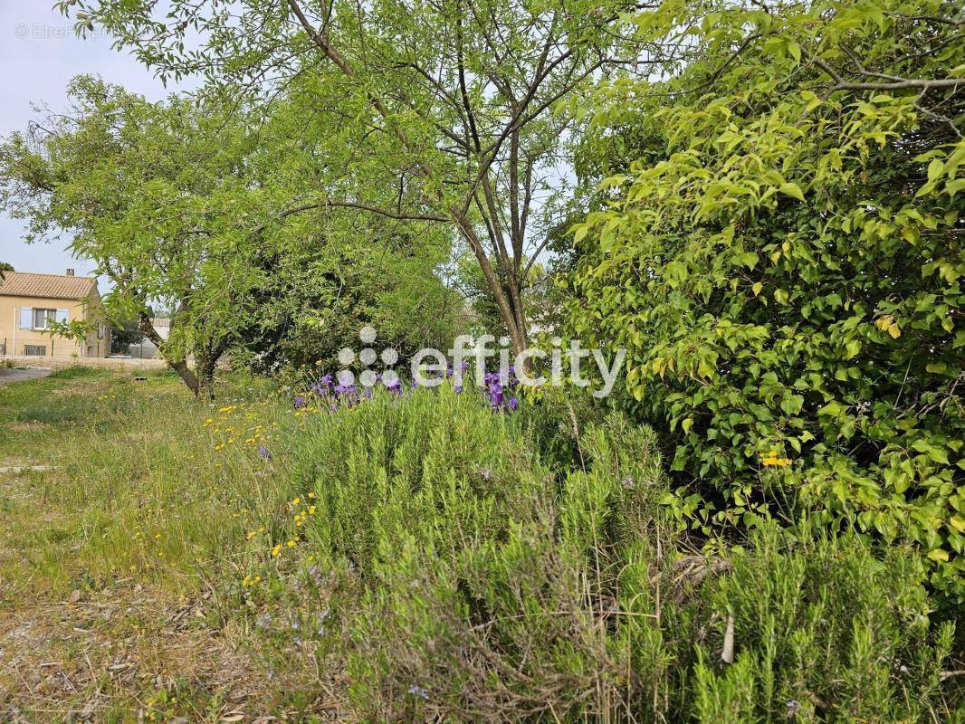 Terrain à GALLARGUES-LE-MONTUEUX