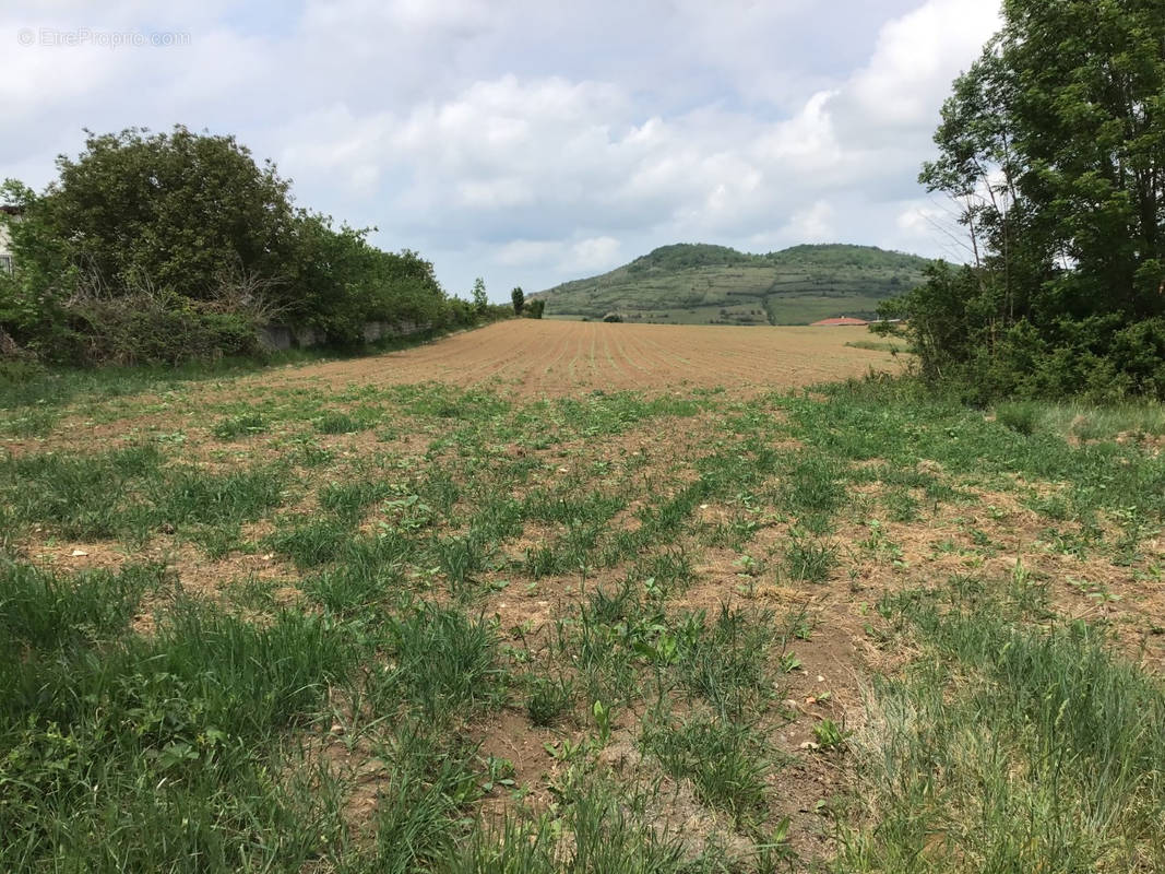 Terrain à SAINT-GERMAIN-LEMBRON