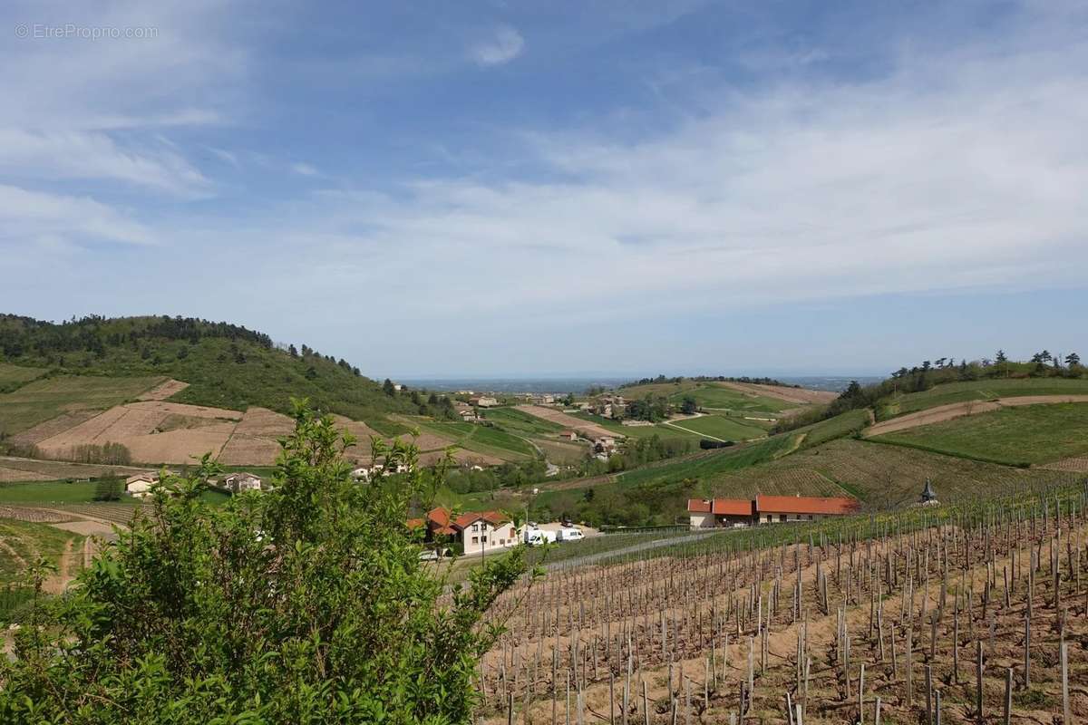 Maison à CORCELLES-EN-BEAUJOLAIS