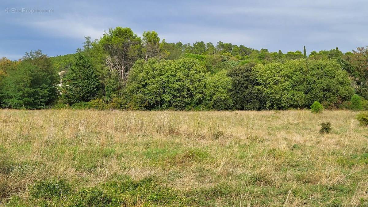 Terrain à BOLLENE