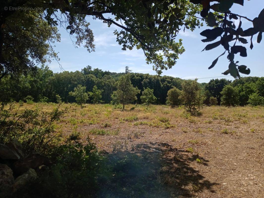 Terrain à GRIGNAN