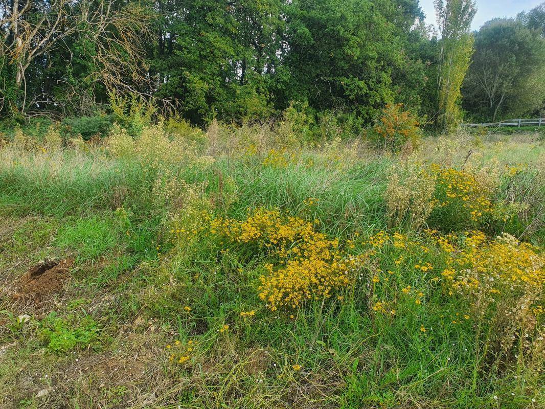 Terrain à MALATAVERNE