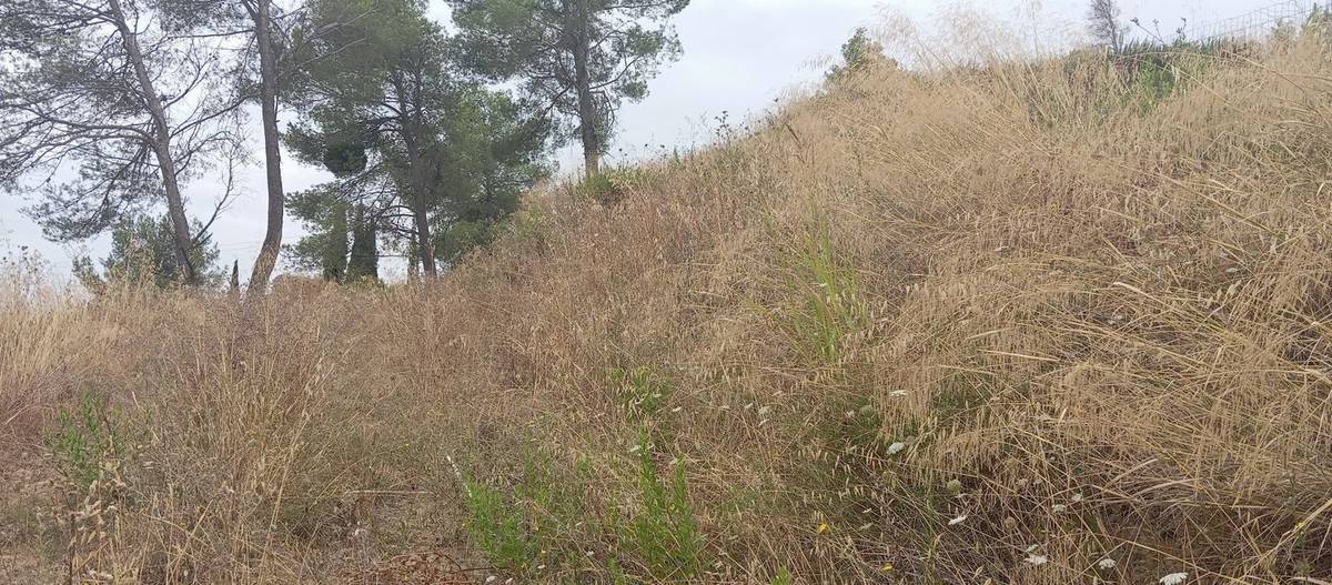 Terrain à MURVIEL-LES-BEZIERS