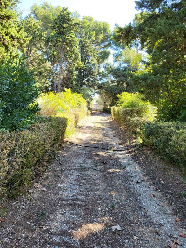 Autre à NARBONNE