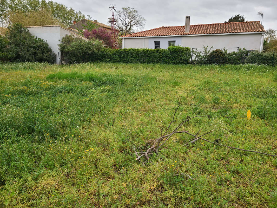 Terrain à CANET