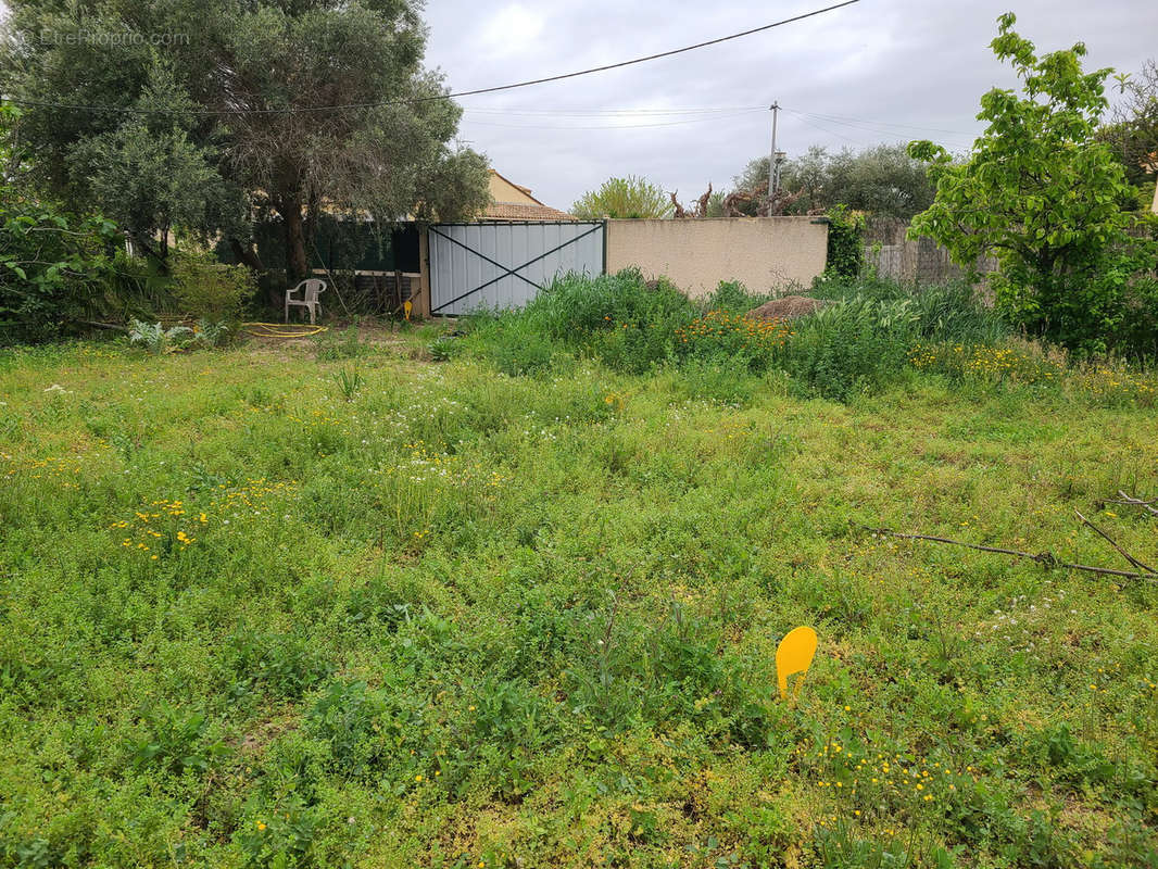 Terrain à CANET