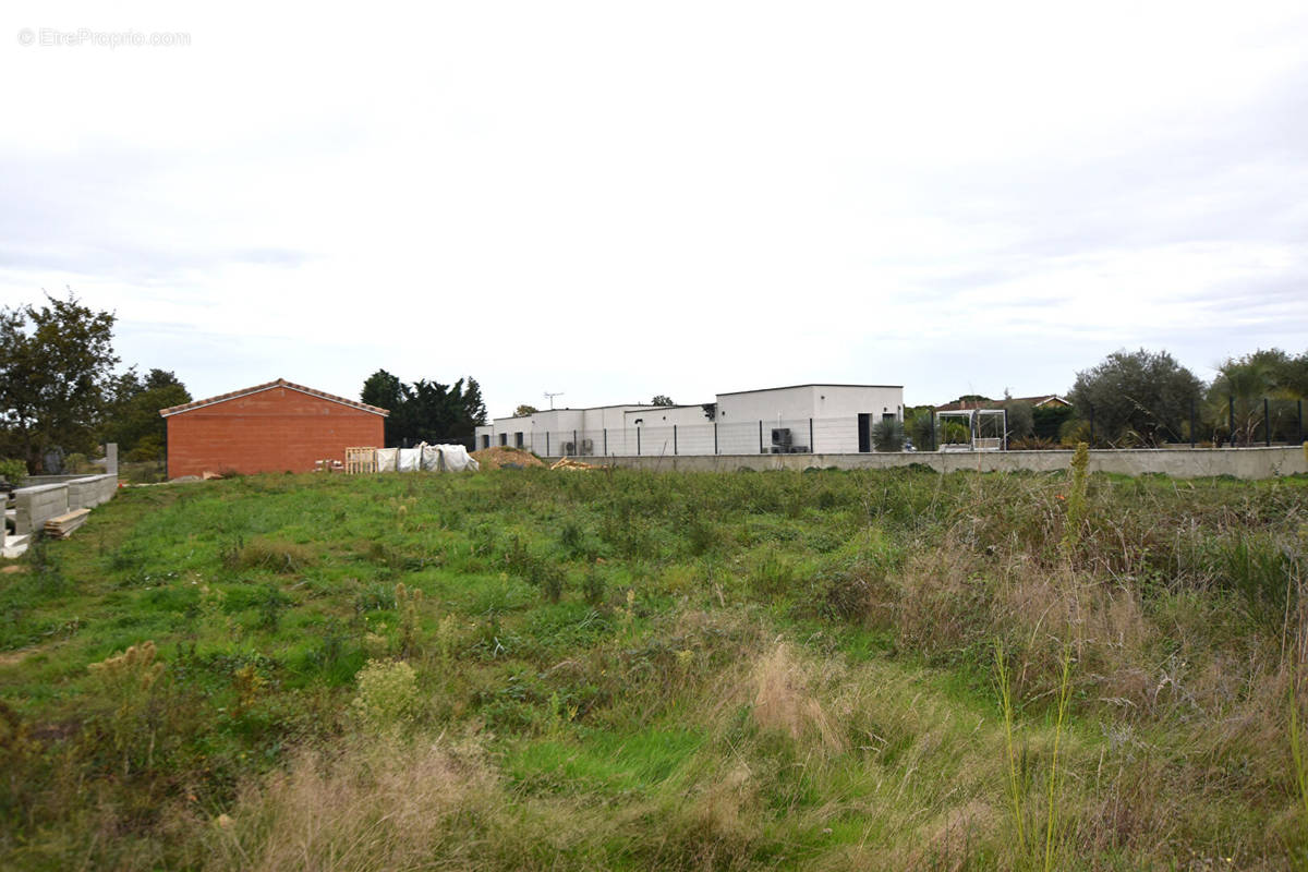 Terrain à MONTBARTIER