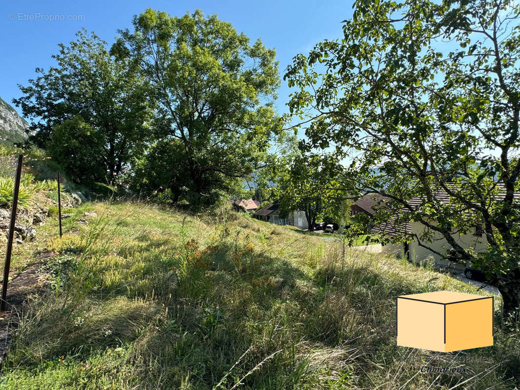 Terrain à CHINDRIEUX