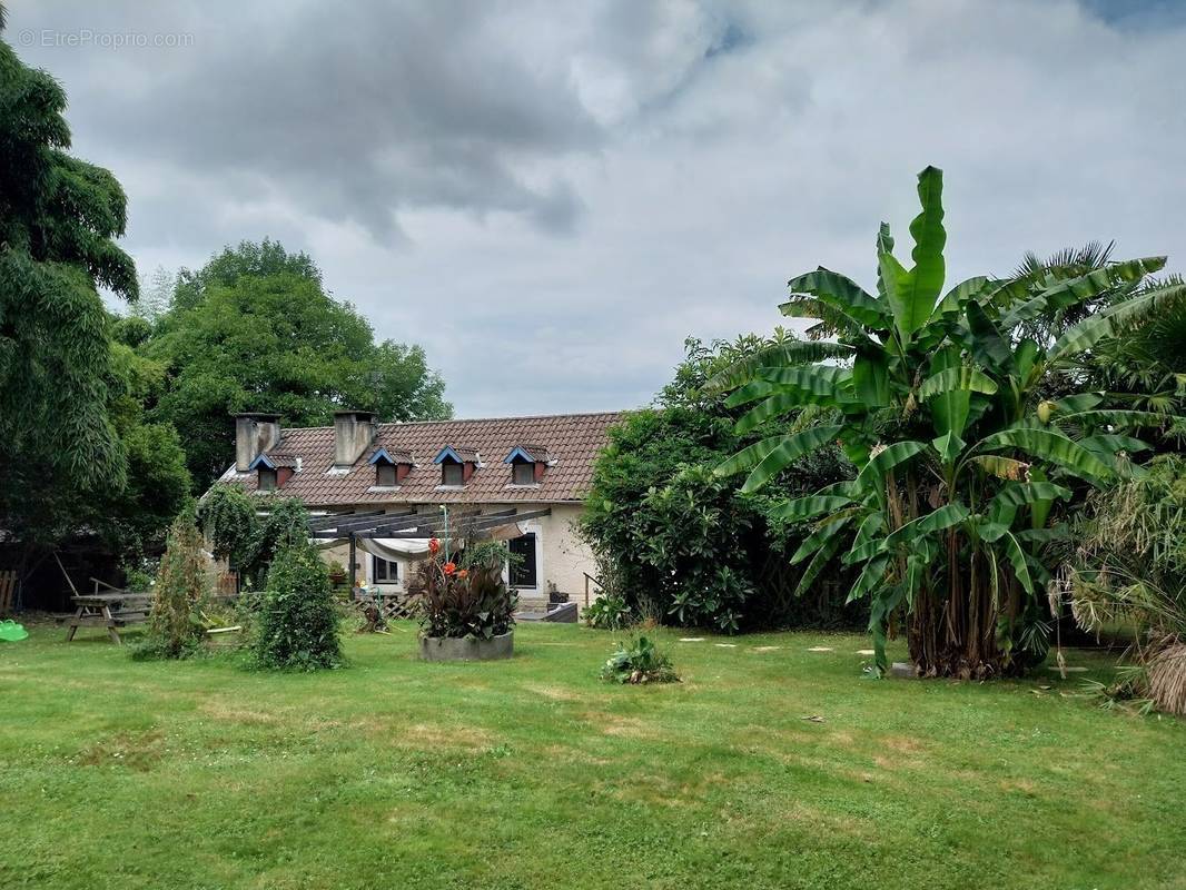 55999197a.jpg - Maison à HAUT-DE-BOSDARROS