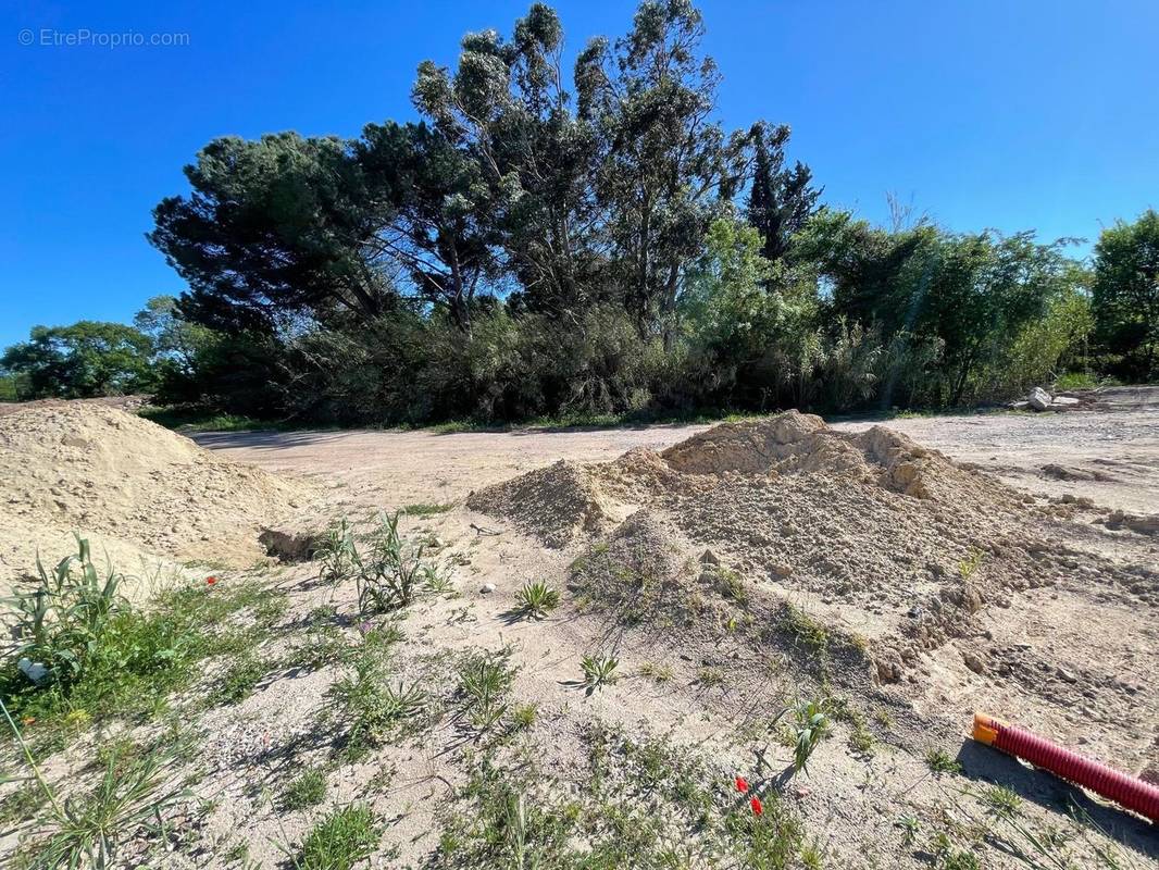 Photo 1 - Terrain à PUGET-SUR-ARGENS