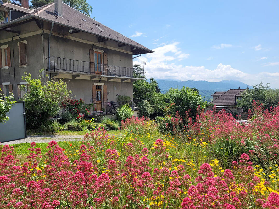 Maison à SAINT-PIERRE-D&#039;ALBIGNY