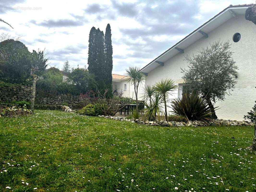 VUE DE L&#039;ARRIÈRE - Maison à BRANNE